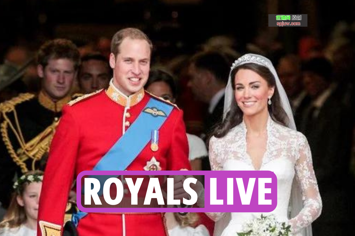 唇语读者揭示了女王在威廉和凯特的皇室婚礼上“不赞成”的言论