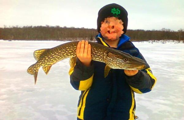  Northern Pike Photo by: Neil Powers, U.S. Fish and Wildlife Service Headquarters https://creativecommons.org/licenses/by-sa/2.0/