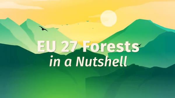 欧盟森林概况- EFI视频
