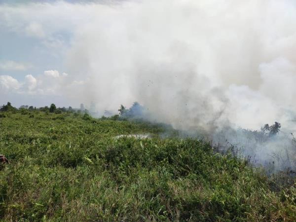 持续炎热干燥的天气导致瓜拉巴兰75公顷的土地被烧毁