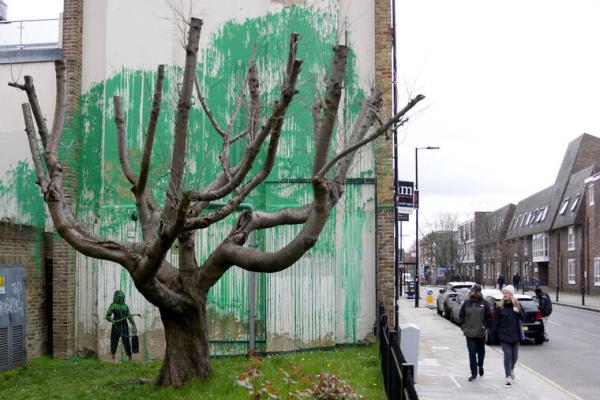 班克西的新壁画在伦敦一棵被砍倒的树旁发芽