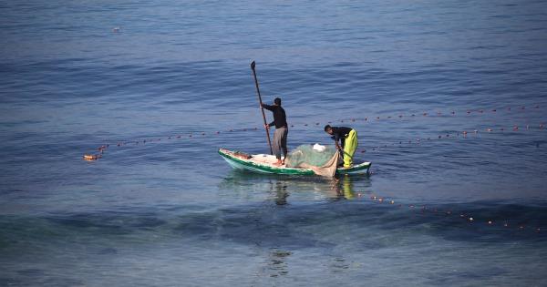 每天冒着生命危险的加沙渔民说，如果我们不捕鱼，我们就无法生存