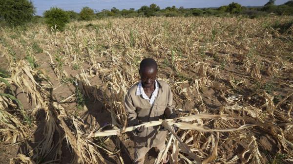 在极端天气的循环中，南部非洲的干旱使大约2000万人面临饥饿