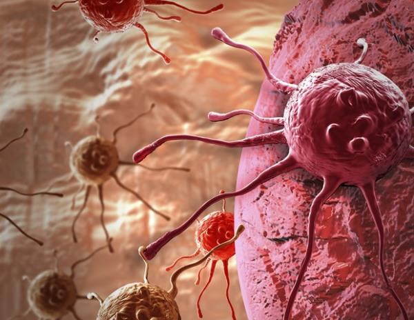 研究人员开发了新的工具来了解癌症是如何生长的