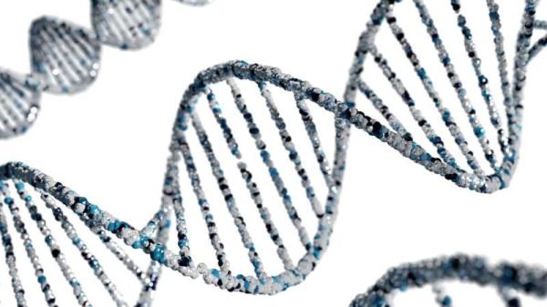 转分化与RNA测序有助于遗传疾病的诊断